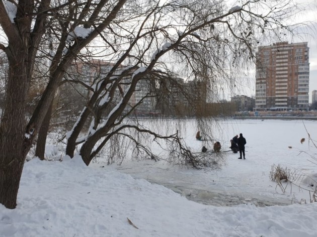 Водоёмы Краснодара покрылись льдом